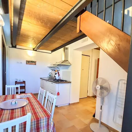 Feriegård Rosa Antica *