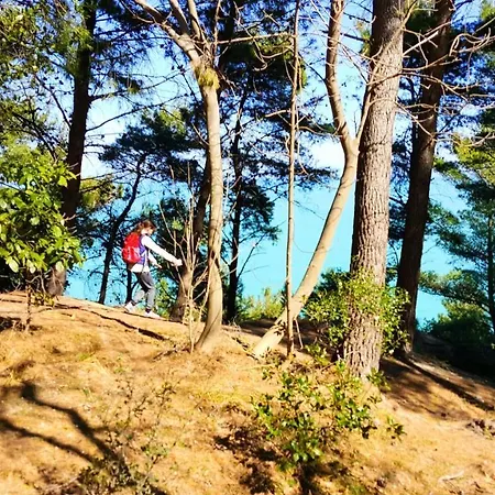 Alojamento de Turismo Rural Rosa Antica