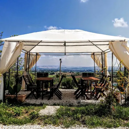 Rosa Antica * Monte San Vito