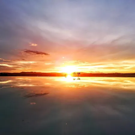 Feriegård Rosa Antica *