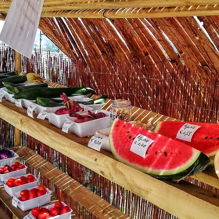 Rosa Antica Feriegård